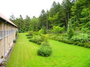 Papes Plantage. ved Skovgården.